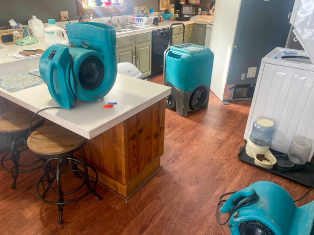 Best Sewage cleanup and water damage restoration  in Jennerstown, PA