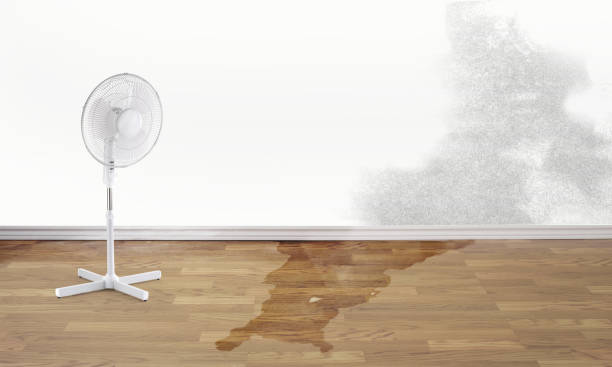 Best Local water damage restoration  in Jennerstown, PA