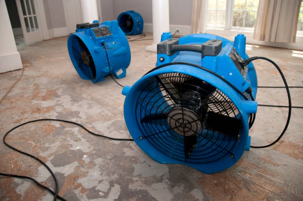 Best Water damage contractors near me  in Jennerstown, PA