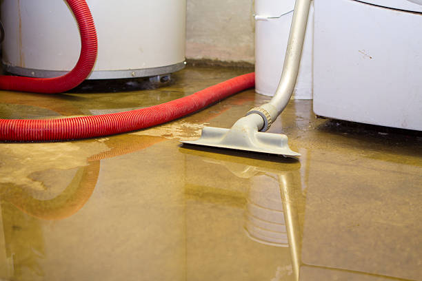 Best Basement water damage restoration  in Jennerstown, PA