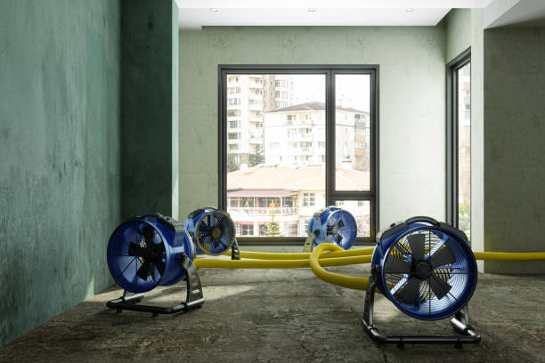 Best Residential water damage restoration  in Jennerstown, PA